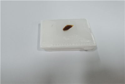 石蠟切片