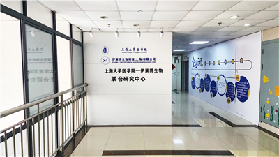 整體課題實(shí)驗(yàn)